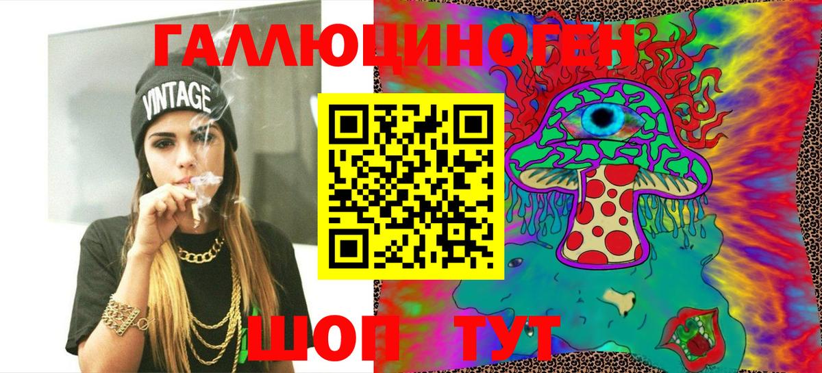 Тимашёвск  Галлюциногенные грибы Psilocybine cubensis  Вход с VPN 
